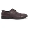 Lace-up Oxford Shoes in Chocolate Brown